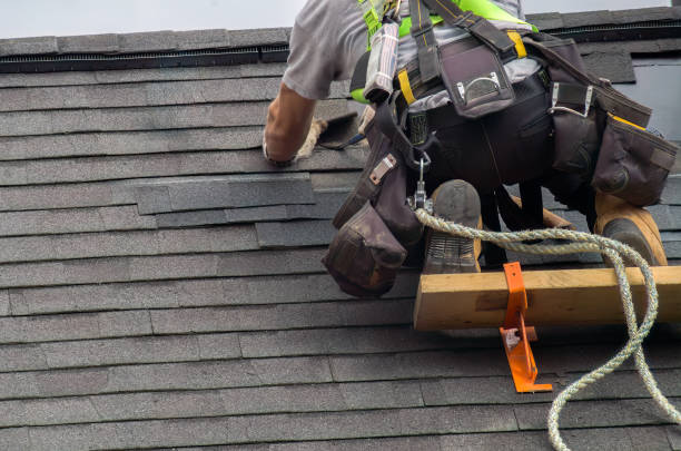 Roof Gutter Cleaning in Smithville Sanders, IN